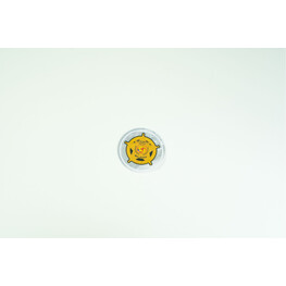 CGSO REFLECTOR INTEGRITY
